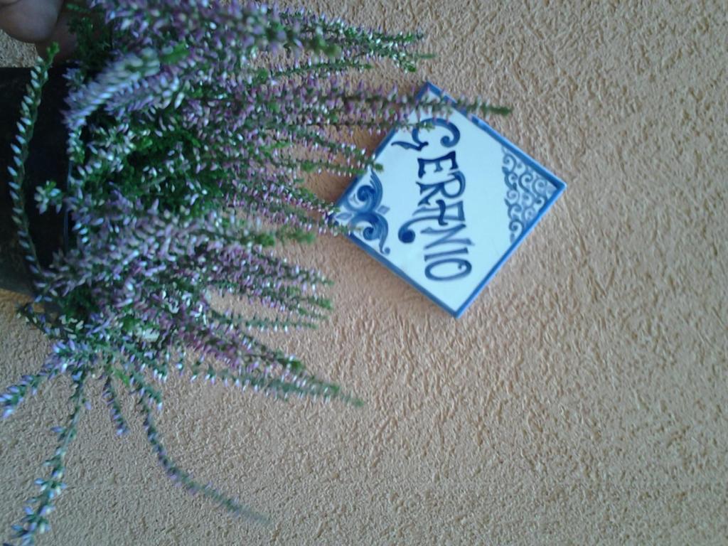 Il Cortile Fiorito Apartman Trapani Kültér fotó